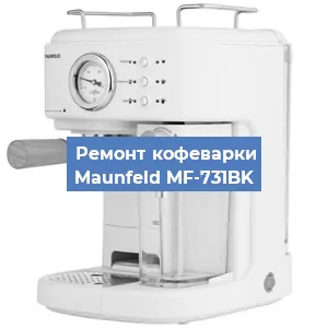 Замена термостата на кофемашине Maunfeld MF-731BK в Тюмени